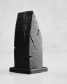 KAPLICZKA black